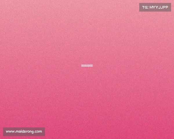 巴西乙级联赛官网